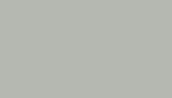 Solo Whiteback - Light grey